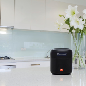 JBL TUNER XL-5.png