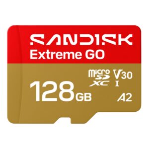 SANDISK-EXTREME-GO-MICROSD-128GB-UHS-I.png