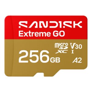 SANDISK-EXTREME-GO-MICROSD-256GB-UHS-I.png