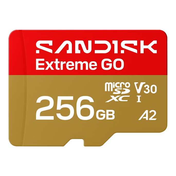 SANDISK-EXTREME-GO-MICROSD-256GB-UHS-I.png